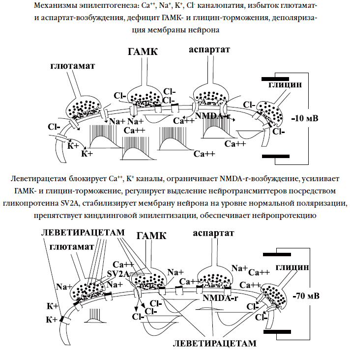 Рис.1