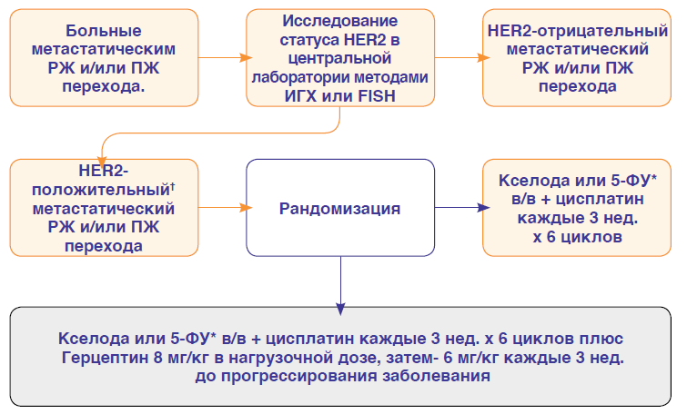 Дизайн исследования ToGA